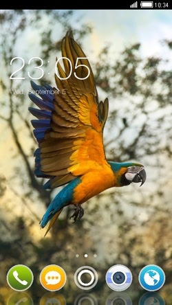 Parrot CLauncher Android Theme Image 1