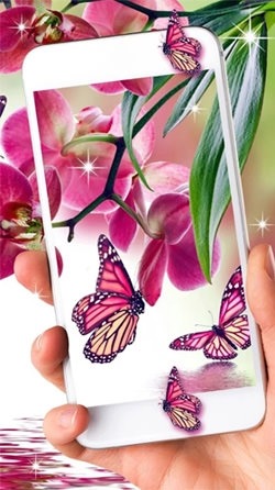 Pink Butterfly Android Wallpaper Image 2