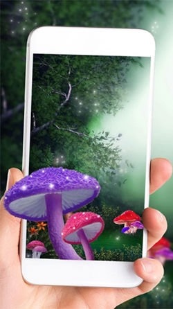Cute Mushroom Android Wallpaper Image 2