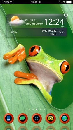 Green Frog CLauncher Android Theme Image 1