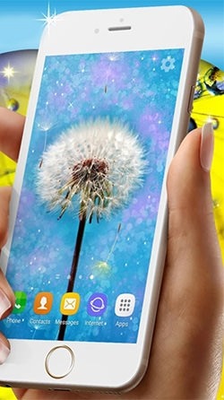 Dandelions Android Wallpaper Image 1