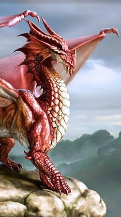 Dragon Android Wallpaper Image 2