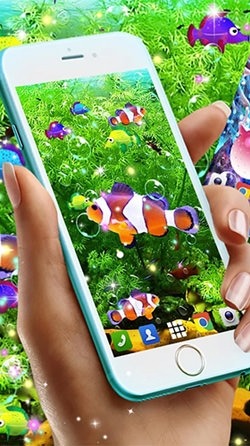 Fish Android Wallpaper Image 1