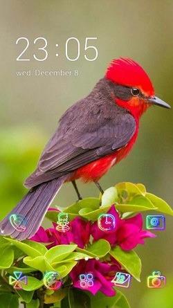 Robin CLauncher Android Theme Image 1