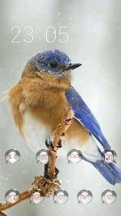 Finch CLauncher Android Theme Image 1