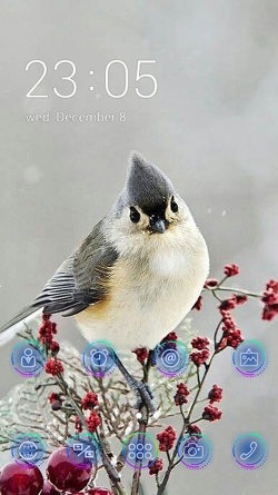 Robin CLauncher Android Theme Image 1