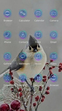 Robin CLauncher Android Theme Image 2