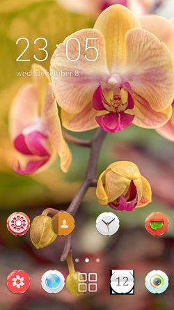 Orchid Flowers CLauncher Android Theme Image 1