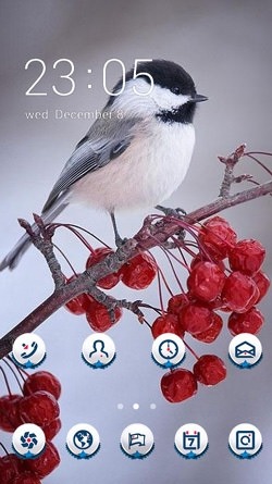 Finch CLauncher Android Theme Image 1