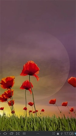 Poppy Field Android Wallpaper Image 1