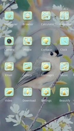 Robin CLauncher Android Theme Image 2