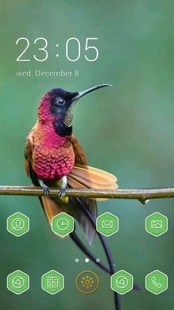 Hummingbird CLauncher Android Theme Image 1