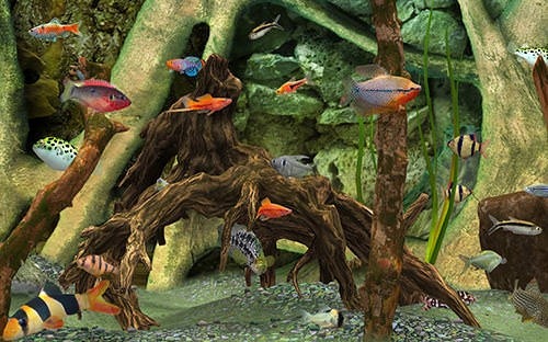 Fish Farm 3: 3D Aquarium Simulator Android Game Image 1