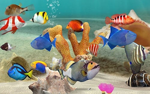Fish Farm 3: 3D Aquarium Simulator Android Game Image 2