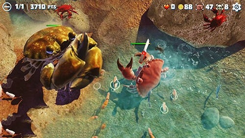 King Of Crabs Android Game Image 2