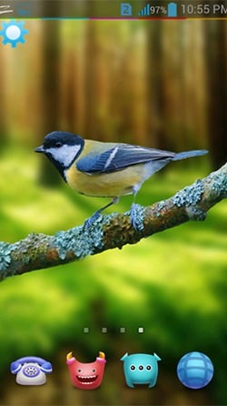 Birds 3D Android Wallpaper Image 2
