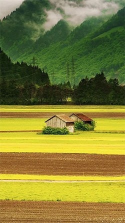 Landscape Android Wallpaper Image 4