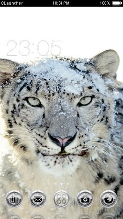 Snow Leopard CLauncher Android Theme Image 1