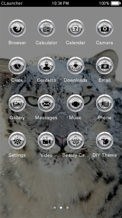 Snow Leopard CLauncher Android Theme Image 2