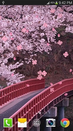 Sakura Android Wallpaper Image 3