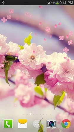 Sakura Android Wallpaper Image 4