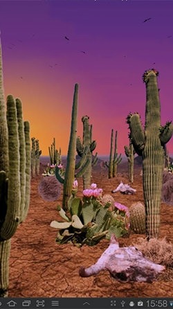 Desert Android Wallpaper Image 1