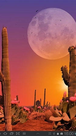 Desert Android Wallpaper Image 2