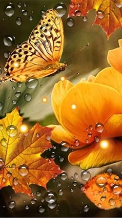 Autumn Flowers Android Wallpaper Image 2