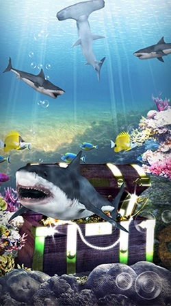 Shark Aquarium Android Wallpaper Image 3