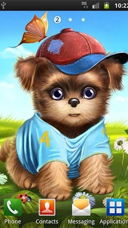 Cute And Sweet Puppy: Dress Him Up Android Wallpaper Image 4