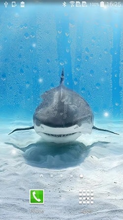 Shark Android Wallpaper Image 1