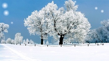Snow Season Android Wallpaper Image 2