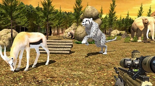Safari Hunt 3D Android Game Image 3