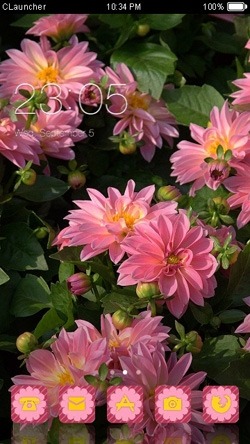 Pink Flowers CLauncher Android Theme Image 1