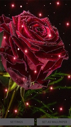 Magical Rose Android Wallpaper Image 2