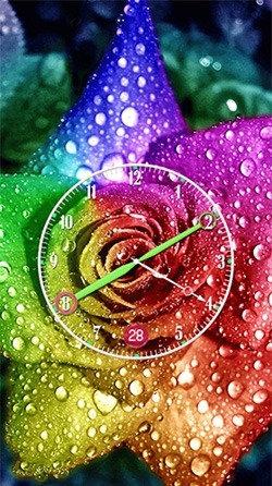 Rose: Analog Clock Android Wallpaper Image 3