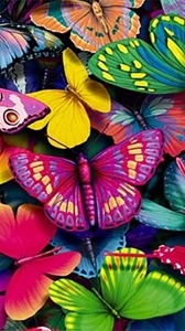 Butterfly Android Wallpaper Image 3