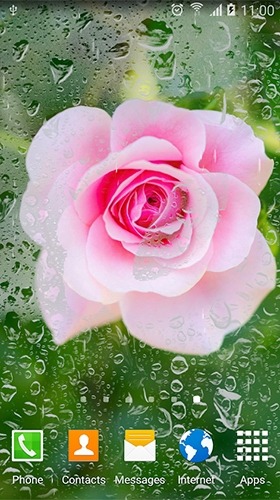 Roses Android Wallpaper Image 1