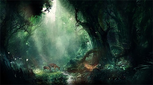 Jungle Android Wallpaper Image 1