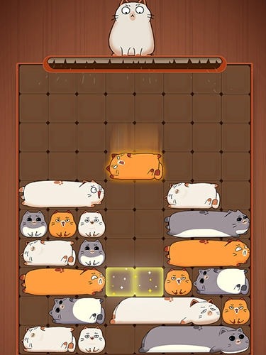 Maru Slide: Block Puzzle Android Game Image 2