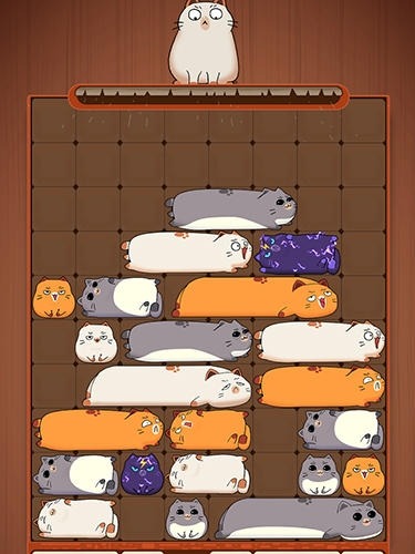 Maru Slide: Block Puzzle Android Game Image 3