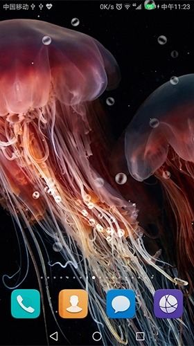 Jellyfish Android Wallpaper Image 2