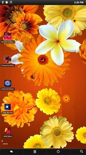 Flowers Android Wallpaper Image 2
