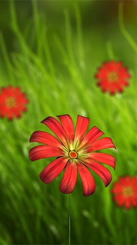 Flower 360 3D Android Wallpaper Image 4