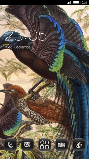 Birds Of Paradise CLauncher Android Theme Image 1