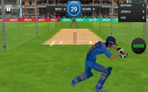 MSD: World Cricket Bash Android Game Image 2