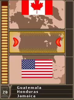 Flag Challenge Java Game Image 4