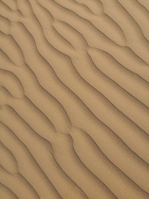 Desert Mobile Phone Wallpaper Image 1
