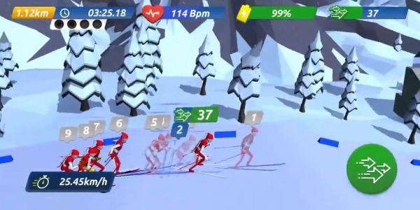 Biathlon Championship Android Game Image 3