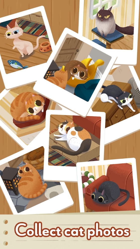 Cozy Cats Android Game Image 4